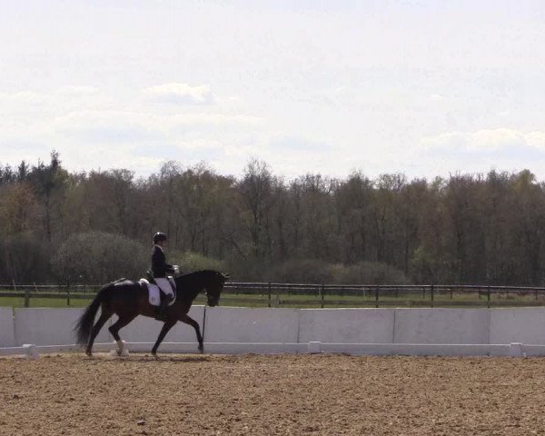 Reitturnier Bremervörde/Reitsportzentrum 2021