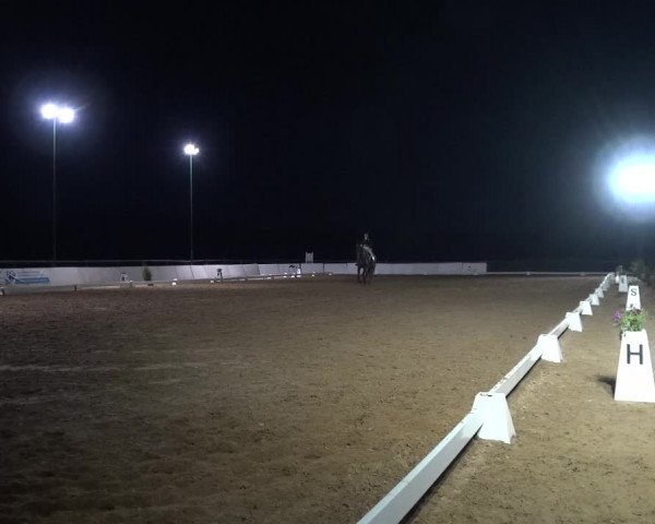Reitturnier Bremervörde/Reitsportzentrum 2021