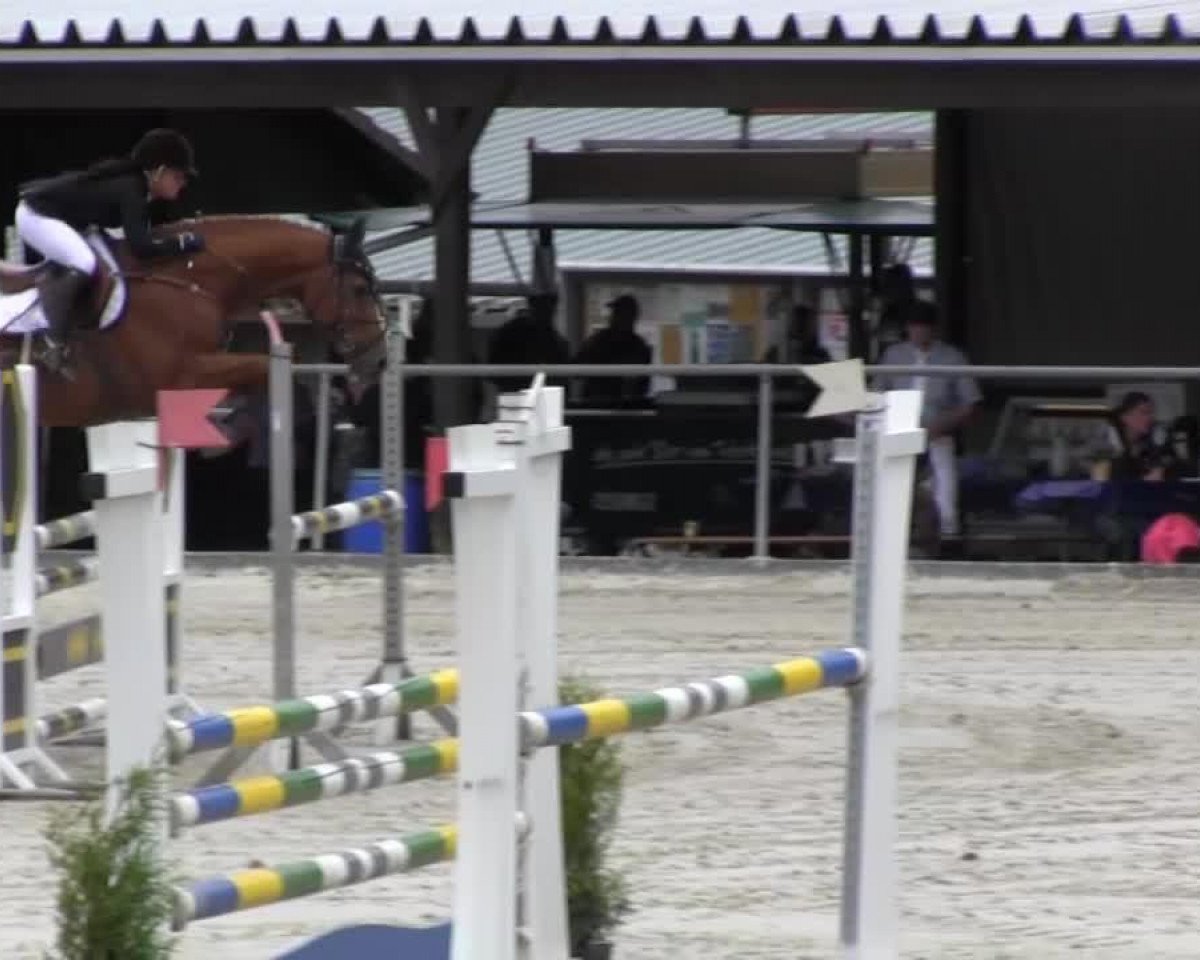 Broodmare Lillith 5 (Bayer, 2002, from Landor S)