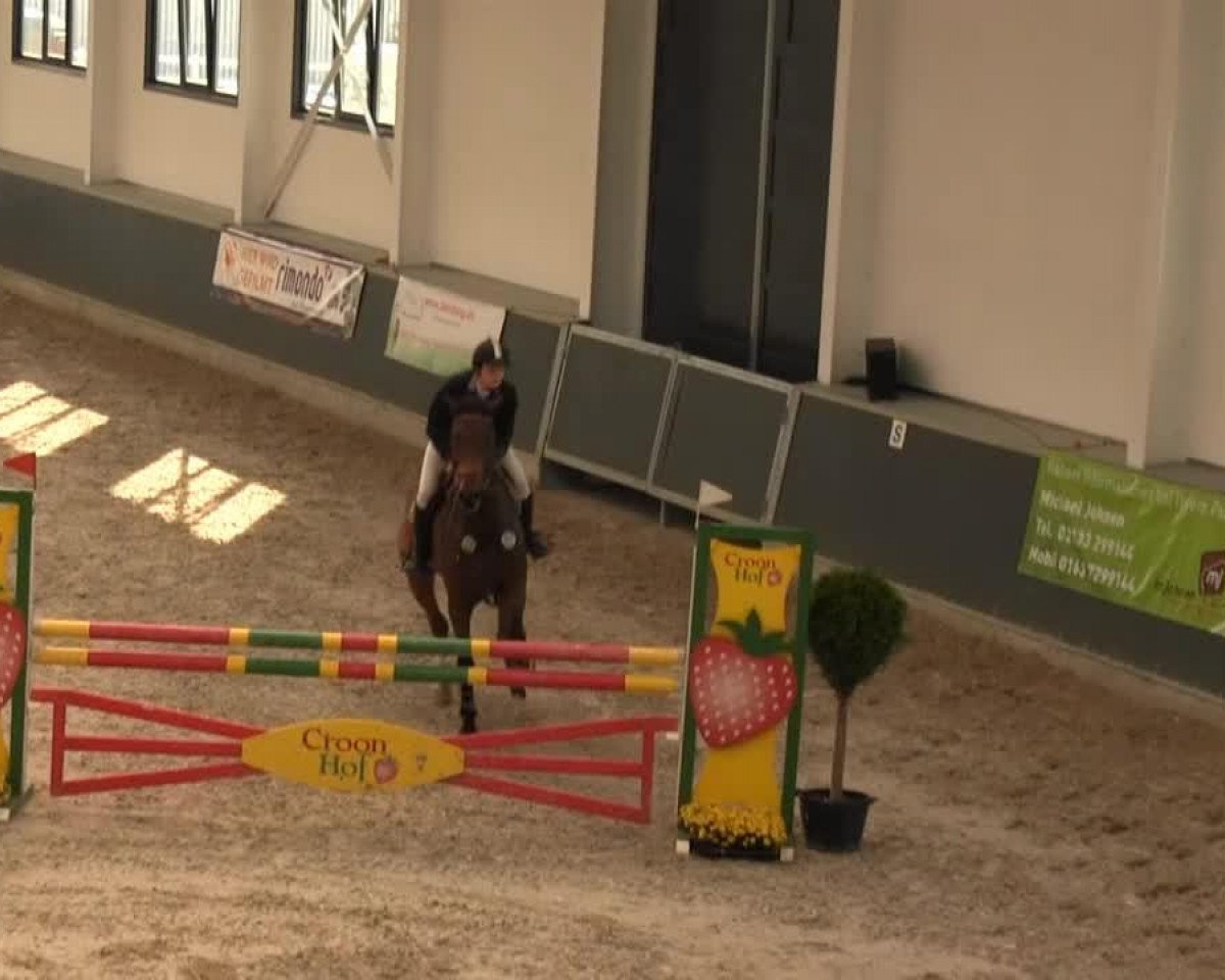 jumper Luftcus (Westphalian, 2003, from Lancer III)