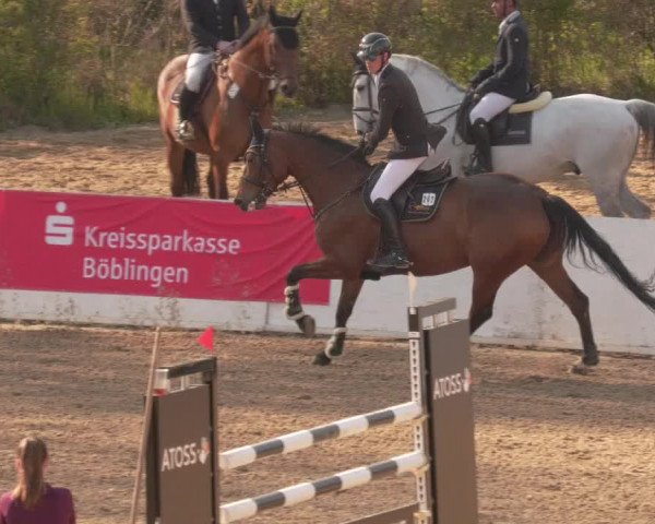 Reitturnier Böblingen 2021