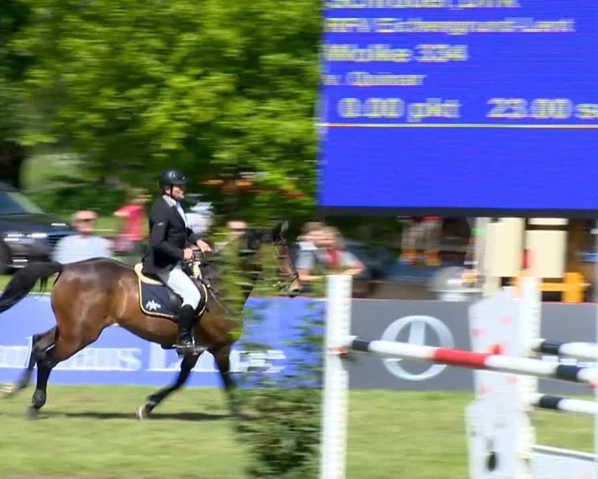 Jumper Wolke 334 (Holsteiner, 2006, from Quinar)