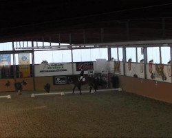 dressage horse Filius 238 (Westphalian, 2004, from Florestan I)