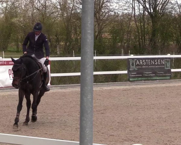 Reitturnier Ladelund 2021