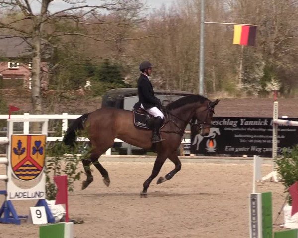 Reitturnier Ladelund 2021