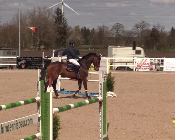Reitturnier Ladelund 2021