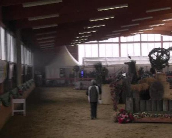 broodmare Donja 204 (Mecklenburg, 2003, from D'Olympic)