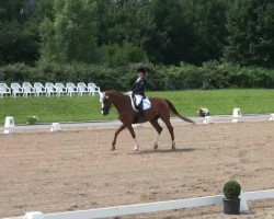 dressage horse Poet Laval (Westphalian, 1998, from Pik Labionics)