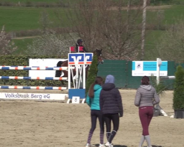 Reitturnier Lindlar-Süttenbach 2021