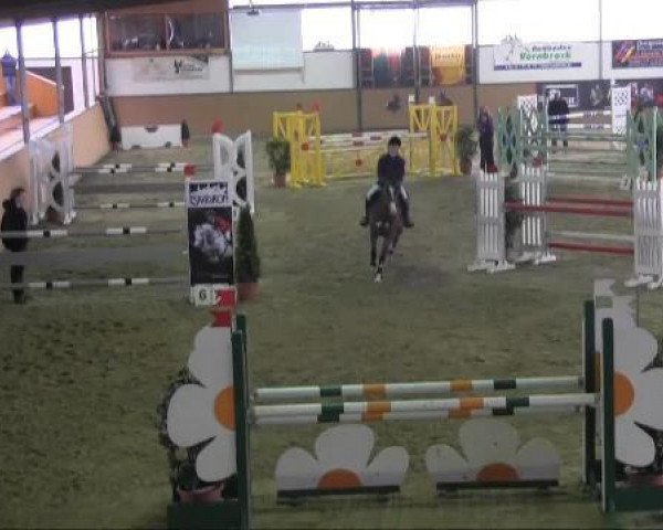 jumper Frederic 124 (Oldenburg show jumper, 2004, from For Keeps)
