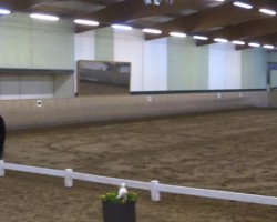 Dressurpferd Diamond's Ehren (Rheinländer, 2007, von Diamond Hit)