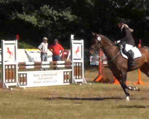 jumper Contero F (Hanoverian, 2002, from Contendro I)