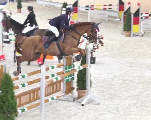 jumper Petite Fleur 147 (Hanoverian, 2004, from Escudo I)