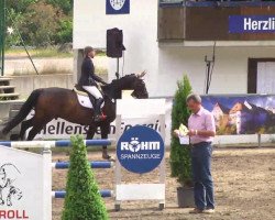 jumper Capt'n Sharky (Holsteiner, 2005, from Caretino)