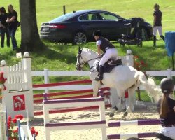 broodmare Just me 3 (Hungarian Warmblood, 2000, from Caos)