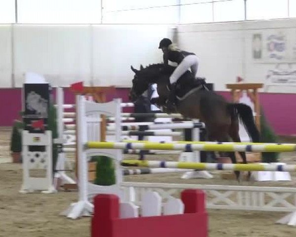 jumper Friendly Fire (Rhinelander, 2003, from Ferragamo)