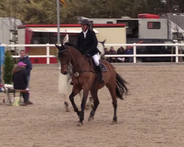Reitturnier Ladelund 2021