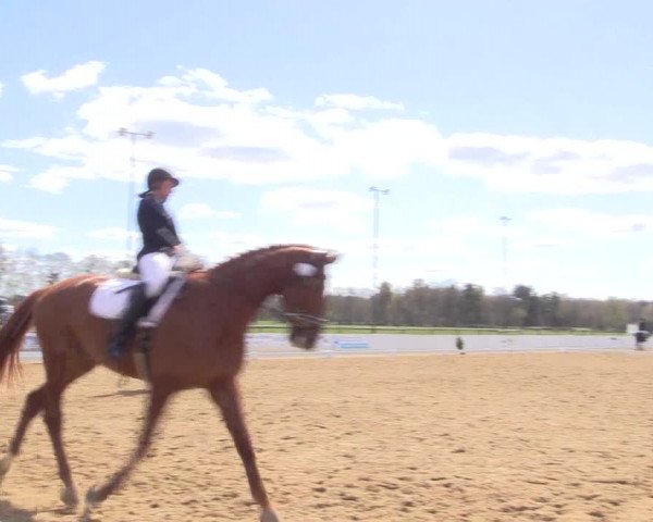 Reitturnier Bremervörde/Reitsportzentrum 2021