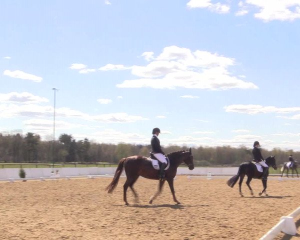 Reitturnier Bremervörde/Reitsportzentrum 2021