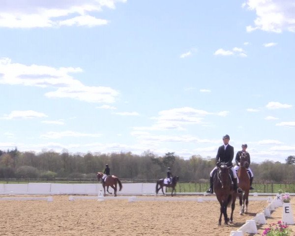 Reitturnier Bremervörde/Reitsportzentrum 2021