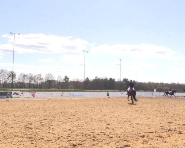 Reitturnier Bremervörde/Reitsportzentrum 2021