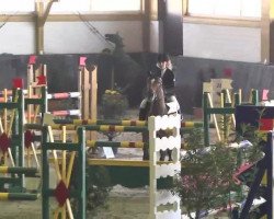 jumper Latina Sunrice (Bavarian, 2003, from Lordanos)