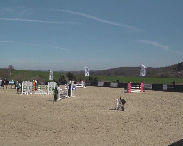 Reitturnier Lindlar-Süttenbach 2021