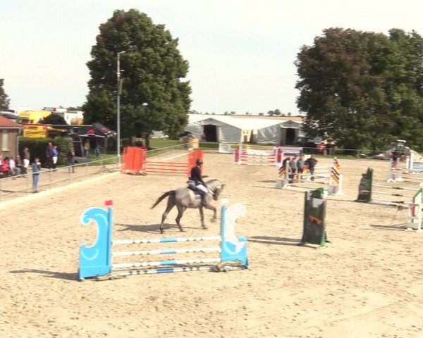 Springreitturnier Hohburg 2021