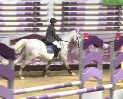 broodmare The Ghost Hunter (KWPN (Royal Dutch Sporthorse), 2000, from Corland)
