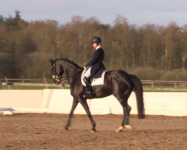 Reitturnier Bremervörde/Reitsportzentrum 2021