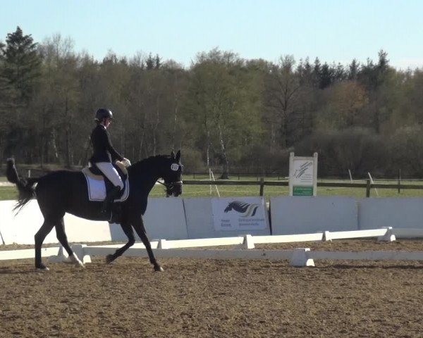 Reitturnier Bremervörde/Reitsportzentrum 2021