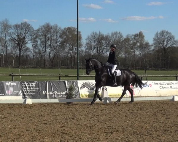 Reitturnier Bremervörde/Reitsportzentrum 2021