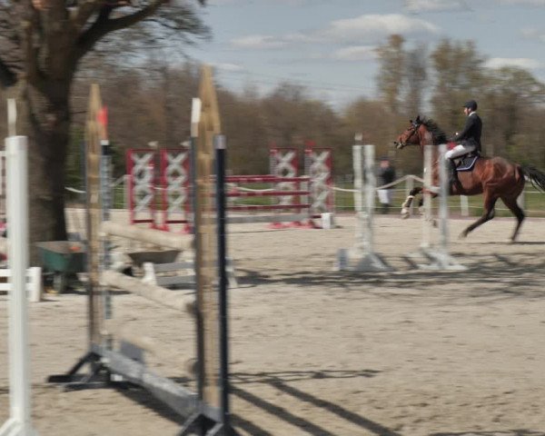 Reitturnier Handorf 2021