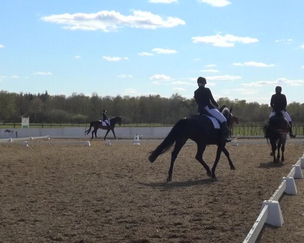 Reitturnier Bremervörde/Reitsportzentrum 2021