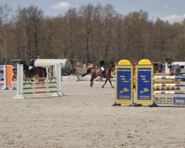 Reitturnier Handorf 2021