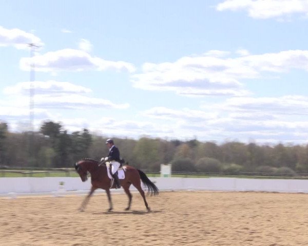 Reitturnier Bremervörde/Reitsportzentrum 2021