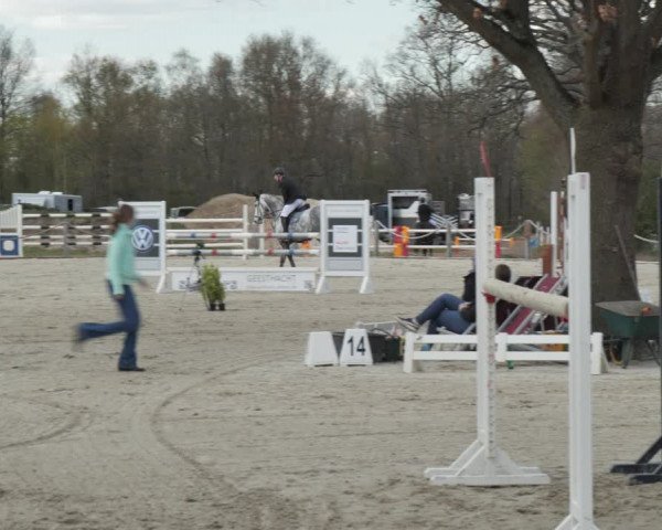 Reitturnier Handorf 2021
