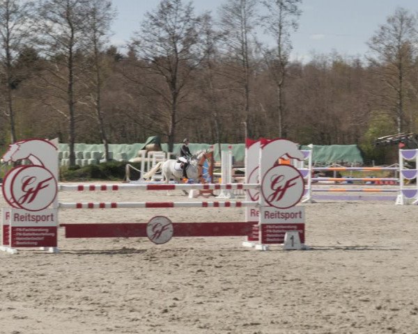 Reitturnier Handorf 2021