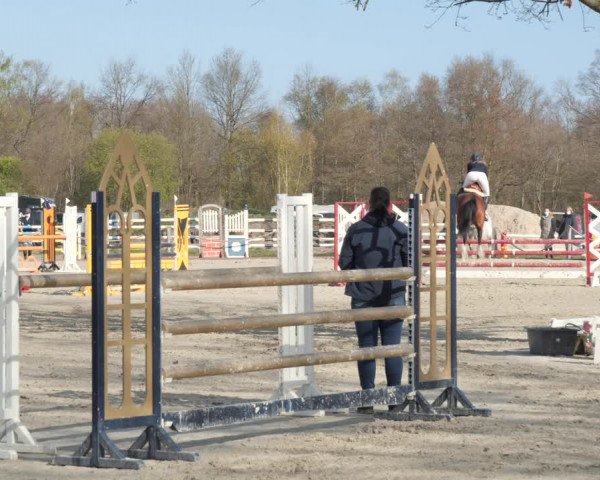 Reitturnier Handorf 2021