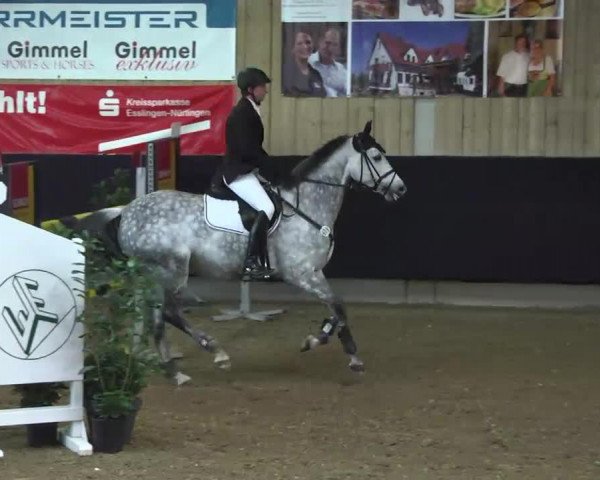 broodmare Tessa 234 (Holsteiner, 2003, from Carano)