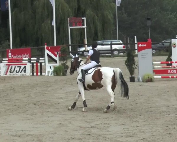 jumper Iranos Rose (Westphalian, 2002, from Ilasso)