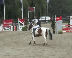 jumper Iranos Rose (Westphalian, 2002, from Ilasso)