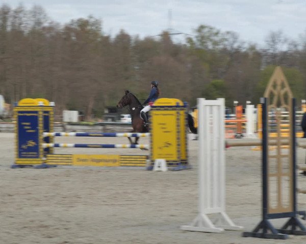 Reitturnier Handorf 2021