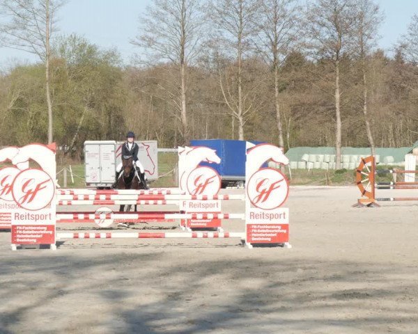 Reitturnier Handorf 2021