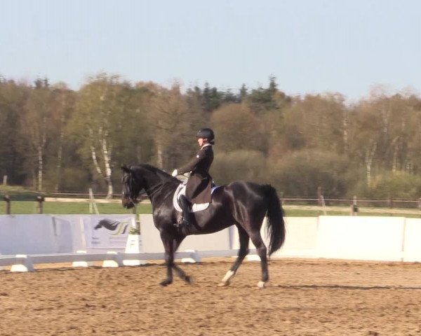 Reitturnier Bremervörde/Reitsportzentrum 2021