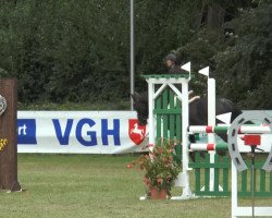 broodmare Acoradina (Zweibrücken, 2004, from Acordelli)