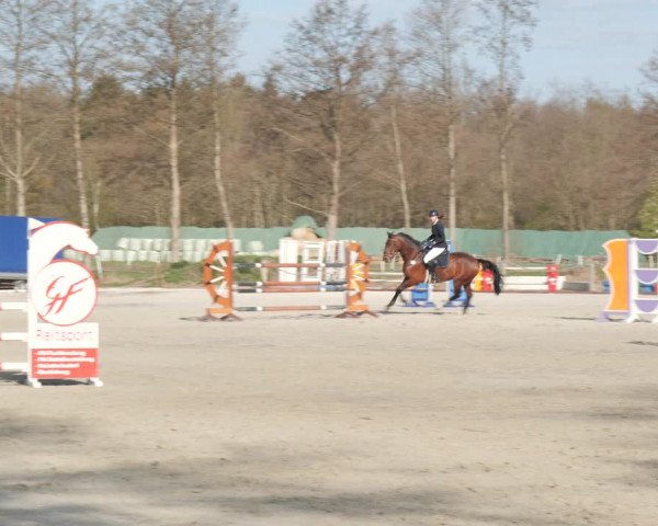 Reitturnier Handorf 2021