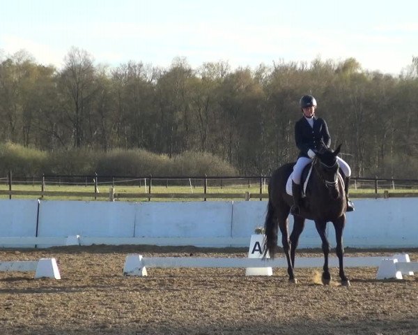 Reitturnier Bremervörde/Reitsportzentrum 2021
