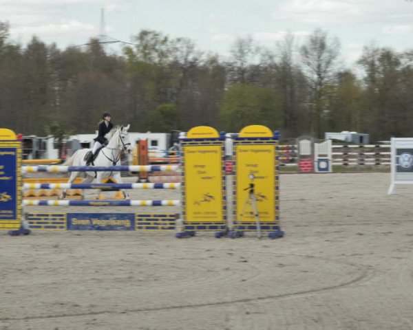 Reitturnier Handorf 2021