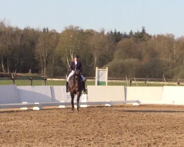 Reitturnier Bremervörde/Reitsportzentrum 2021